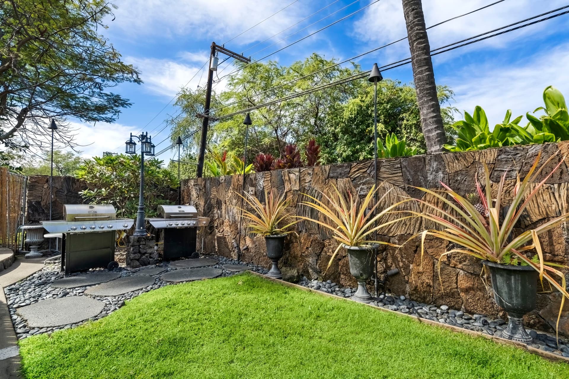 Royal Kahili #401A - Image 38