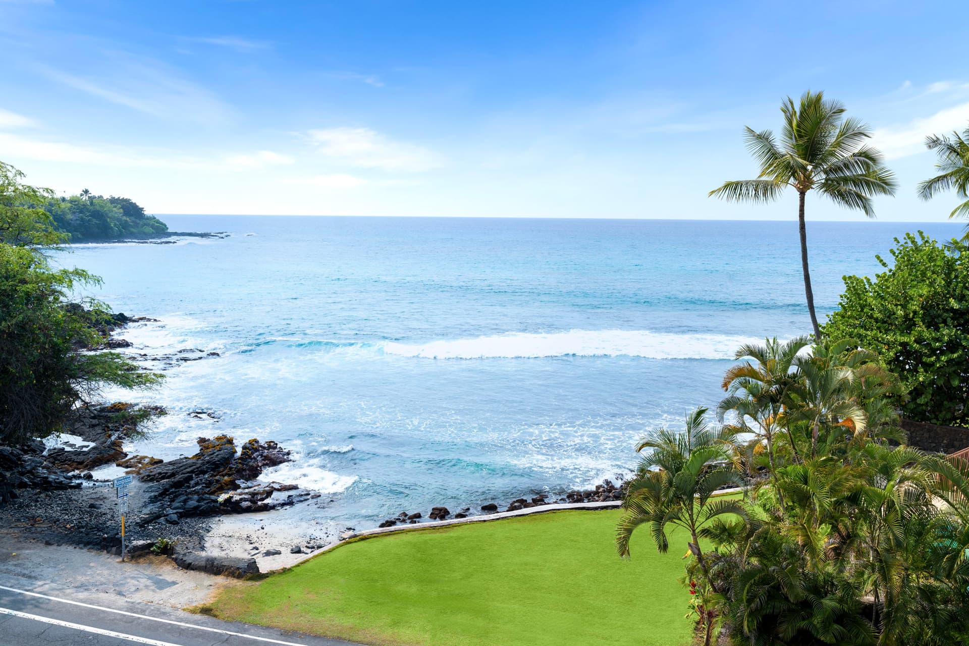 Royal Kahili #401A - Image 41