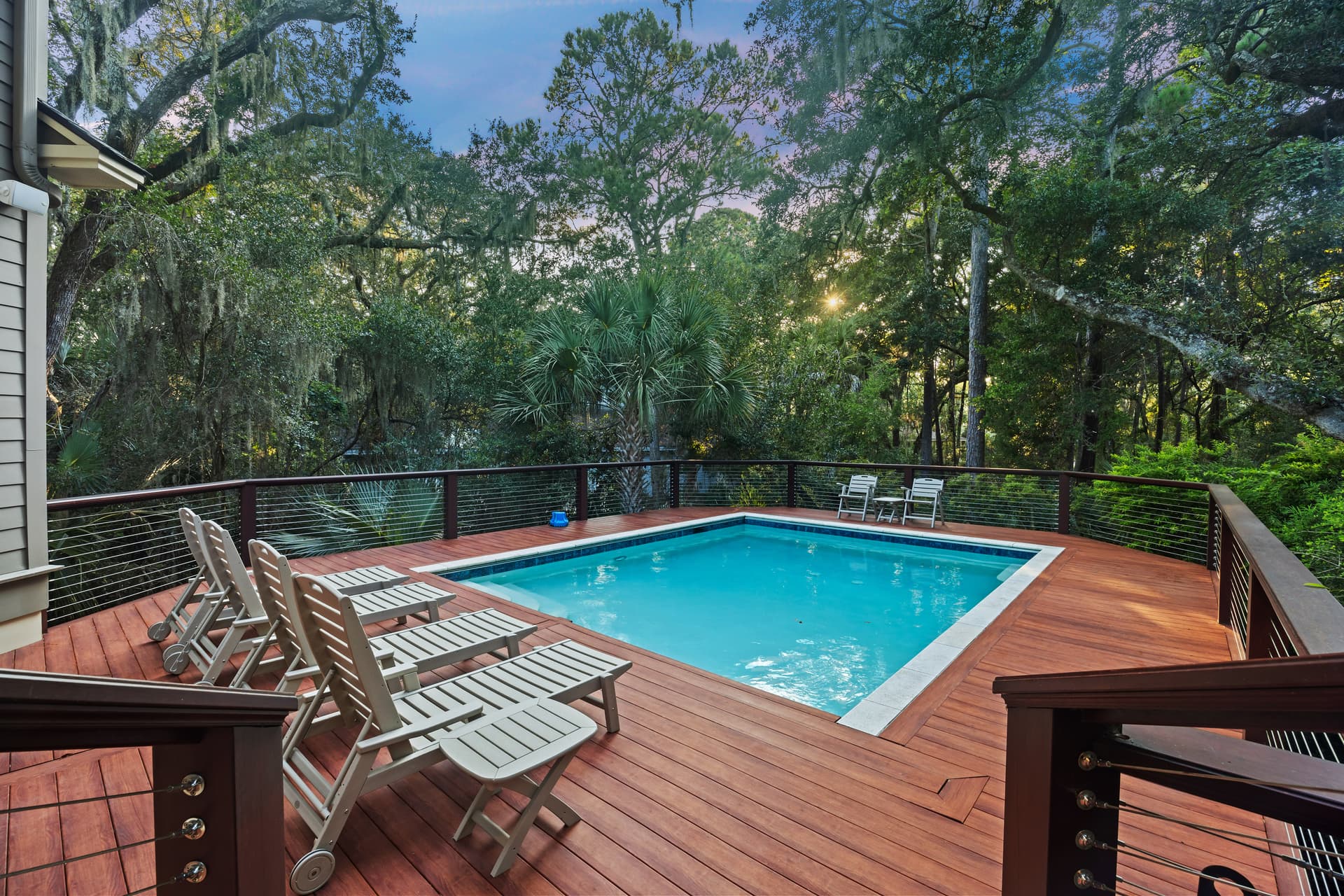Ruddy Turnstone - Image 2