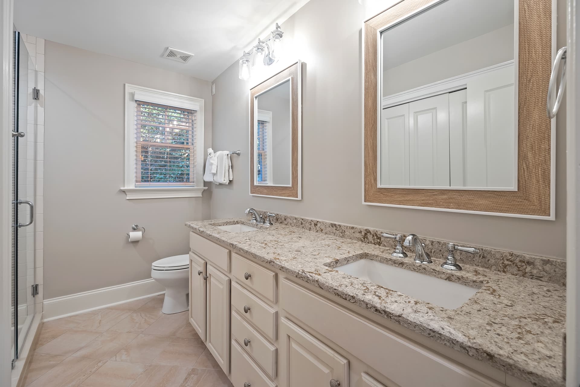 Ruddy Turnstone - Image 28