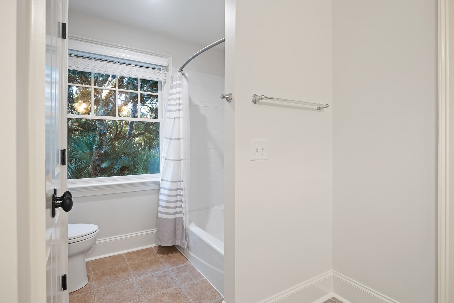 Ruddy Turnstone - Image 32