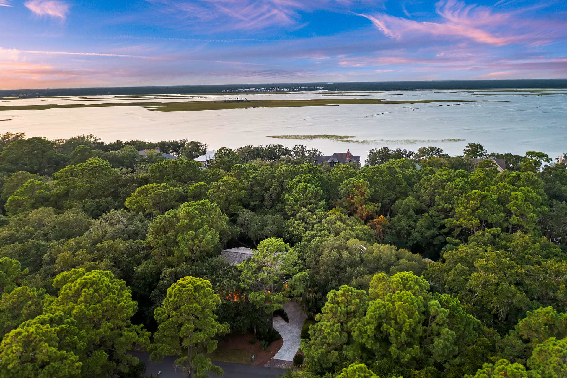 Ruddy Turnstone - Image 3