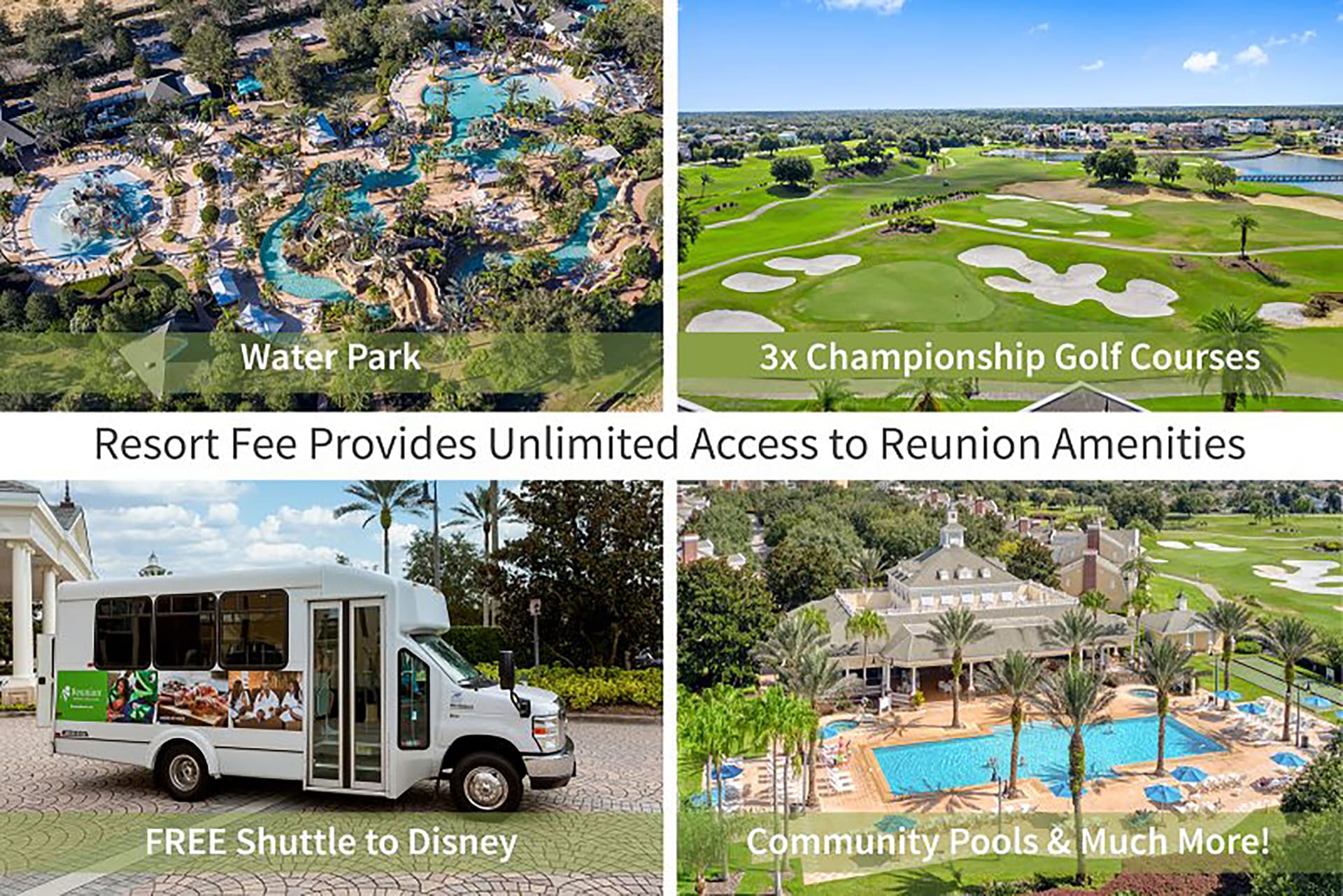 Liberty Gem - Image 38