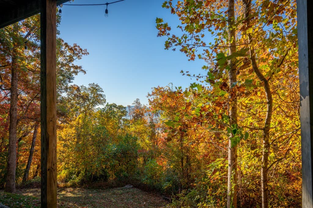 Falcon Ridge - Image 49