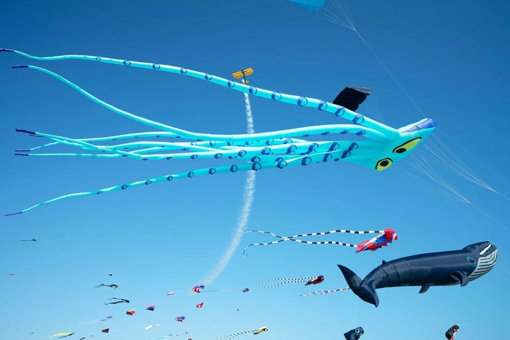 Salty Texan - Image 59