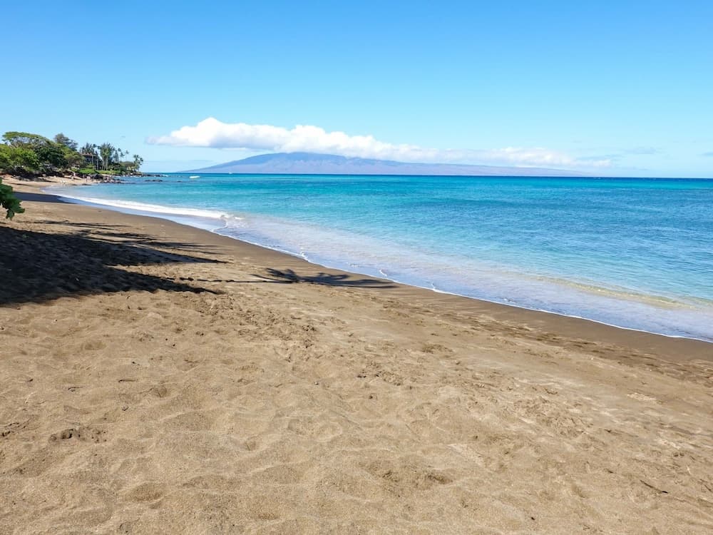 Sands Of Kahana #381 - Image 41