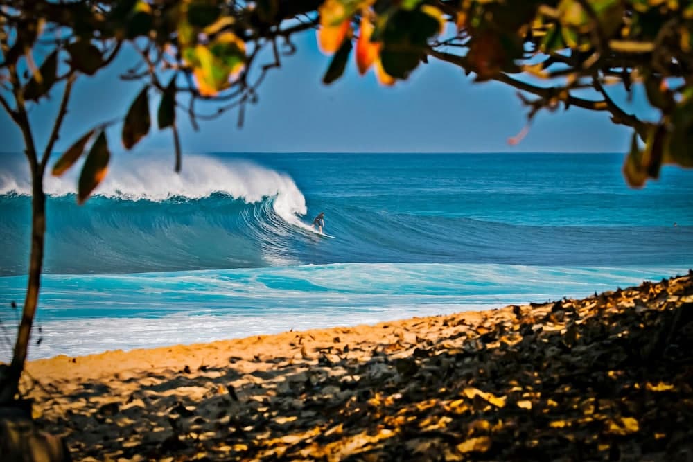 Scandia Tower Condo - Image 37