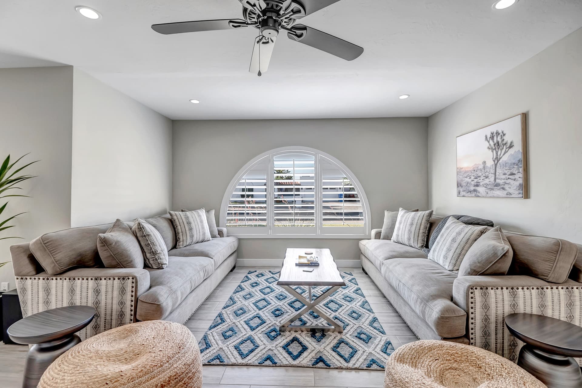 Scottsdale Cactus Glen - Image 7