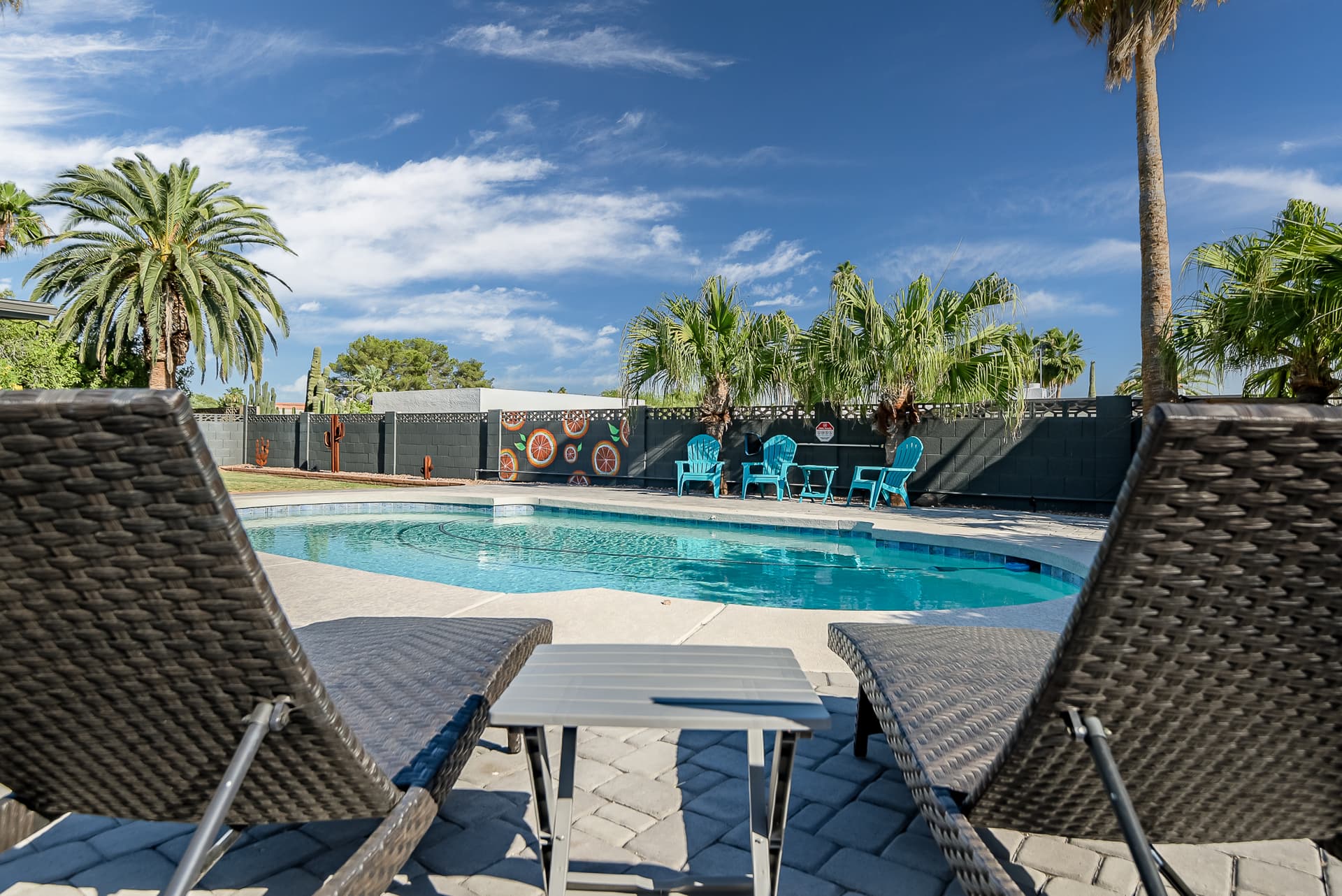 Scottsdale Cactus Glen - Image 31