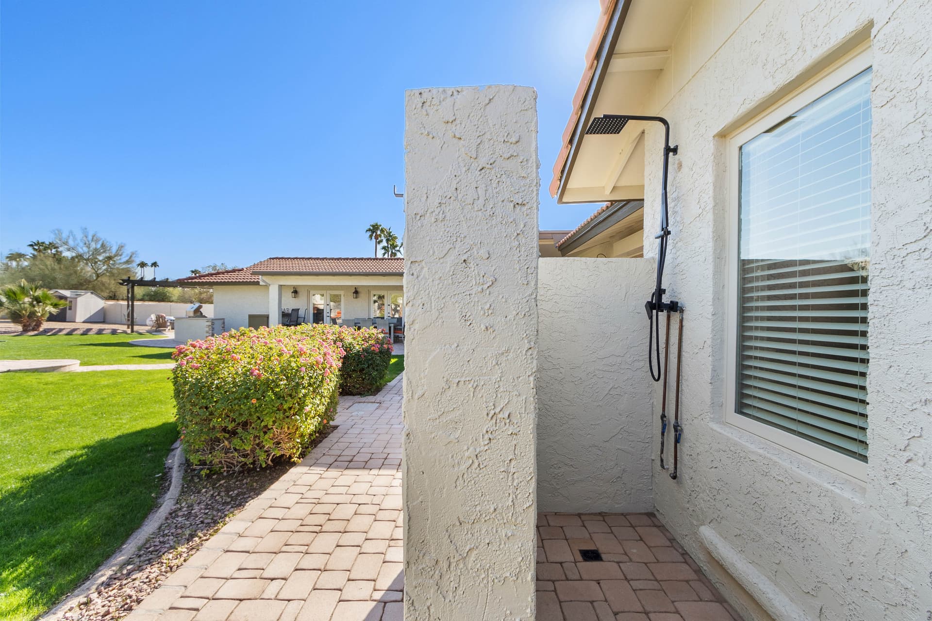 Desert Palm Oasis - Image 58