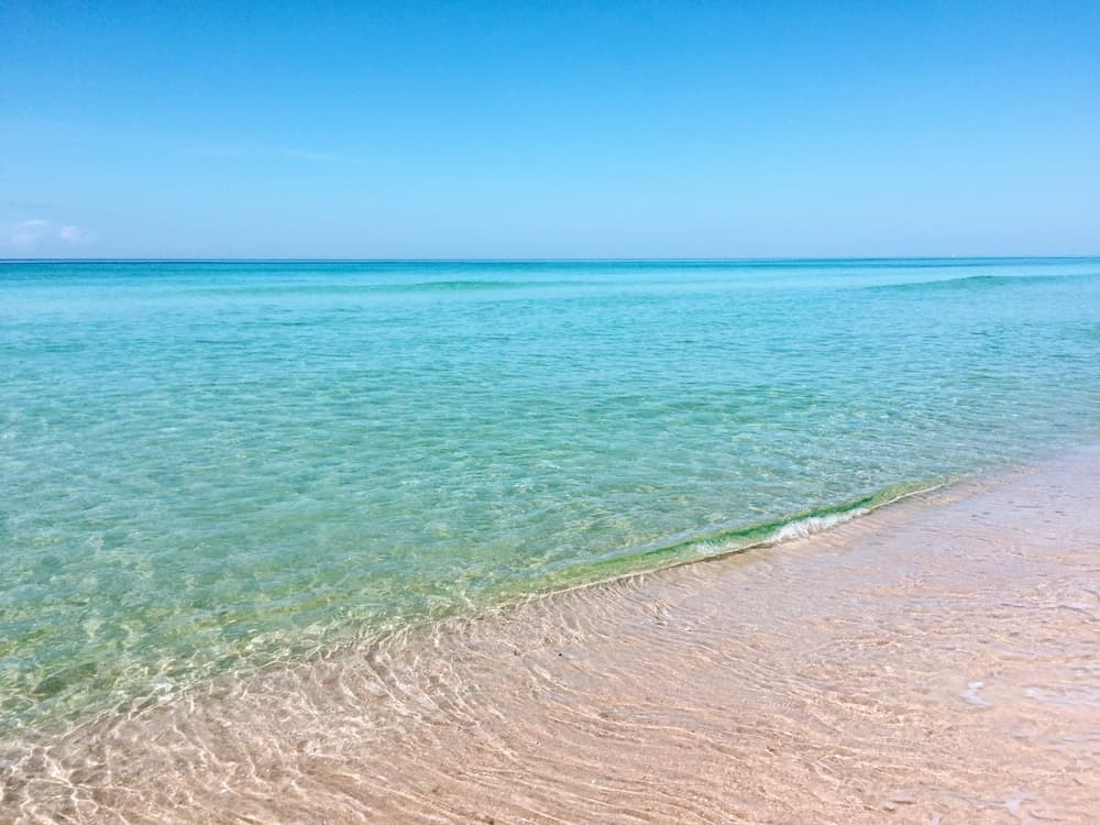 Sea La Vie Condo #306 - Image 35