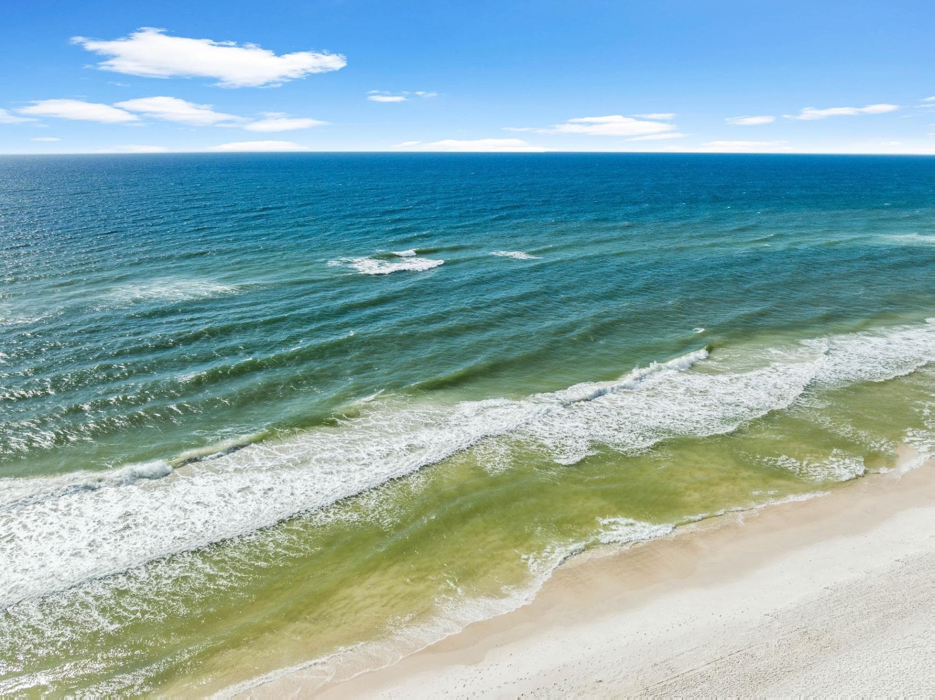 Sandy Pants - Image 49