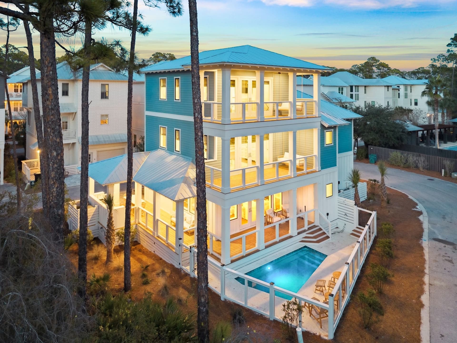 Silver Palm - Image 1