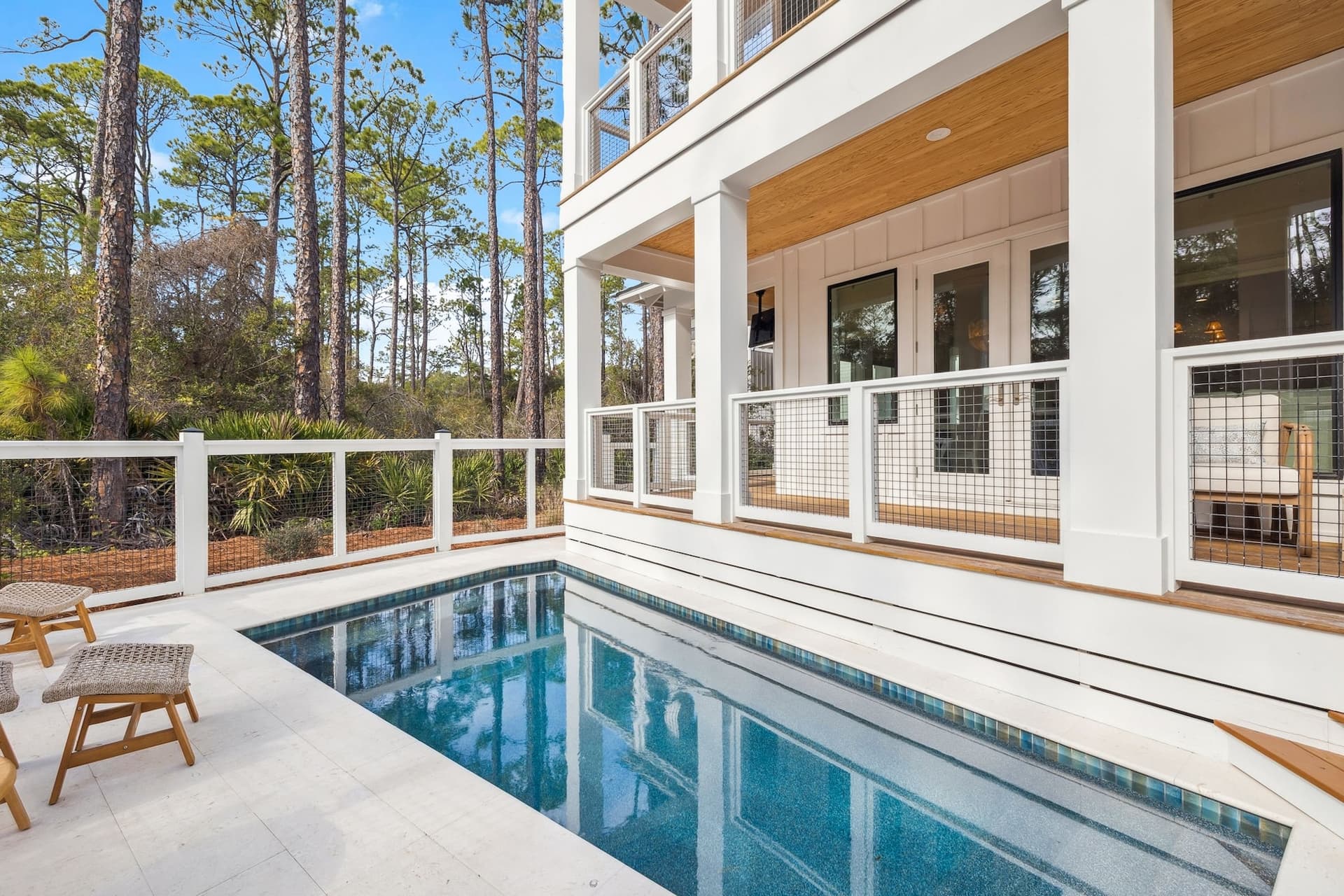 Silver Palm - Image 2
