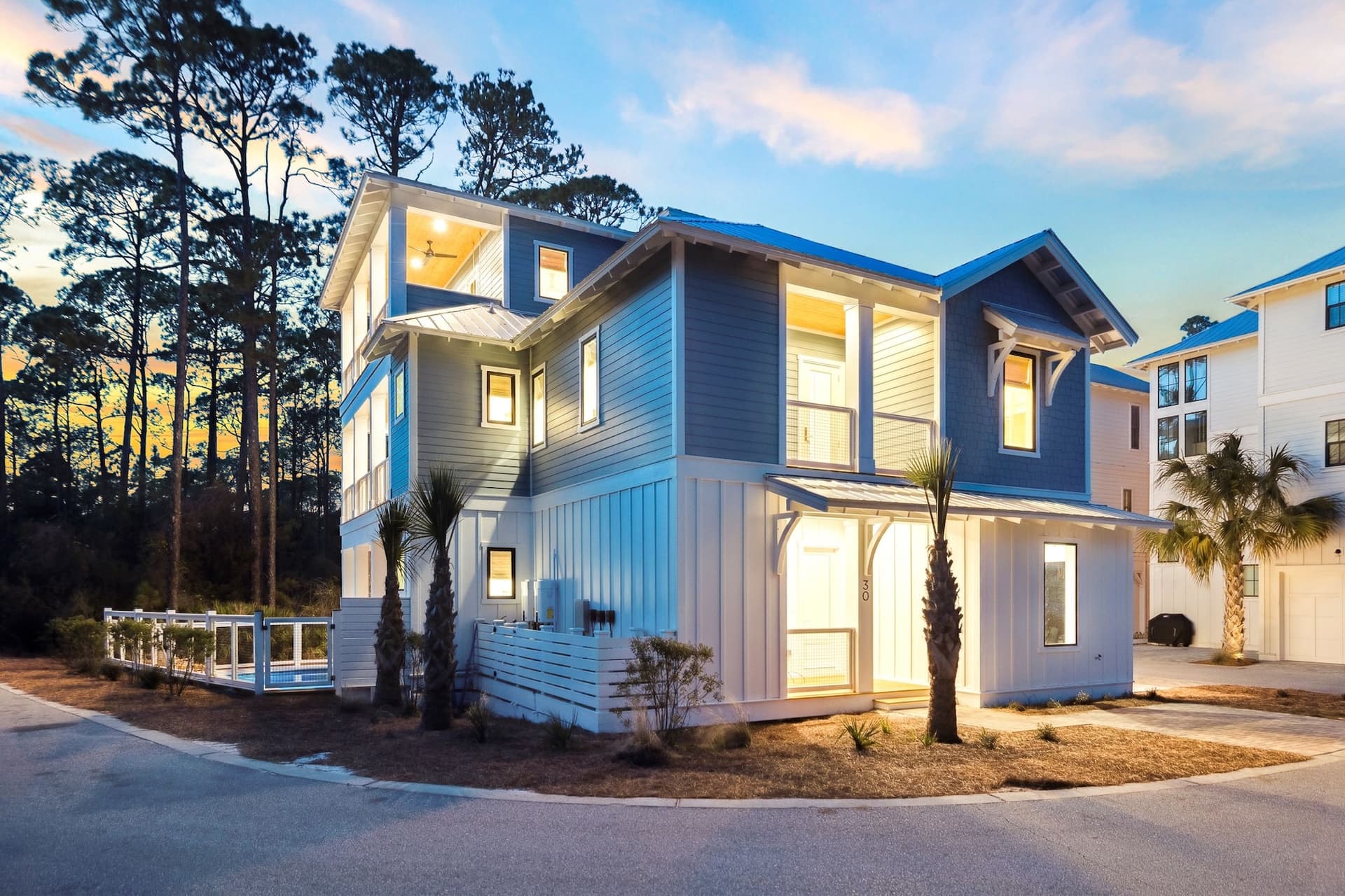 Silver Palm - Image 46