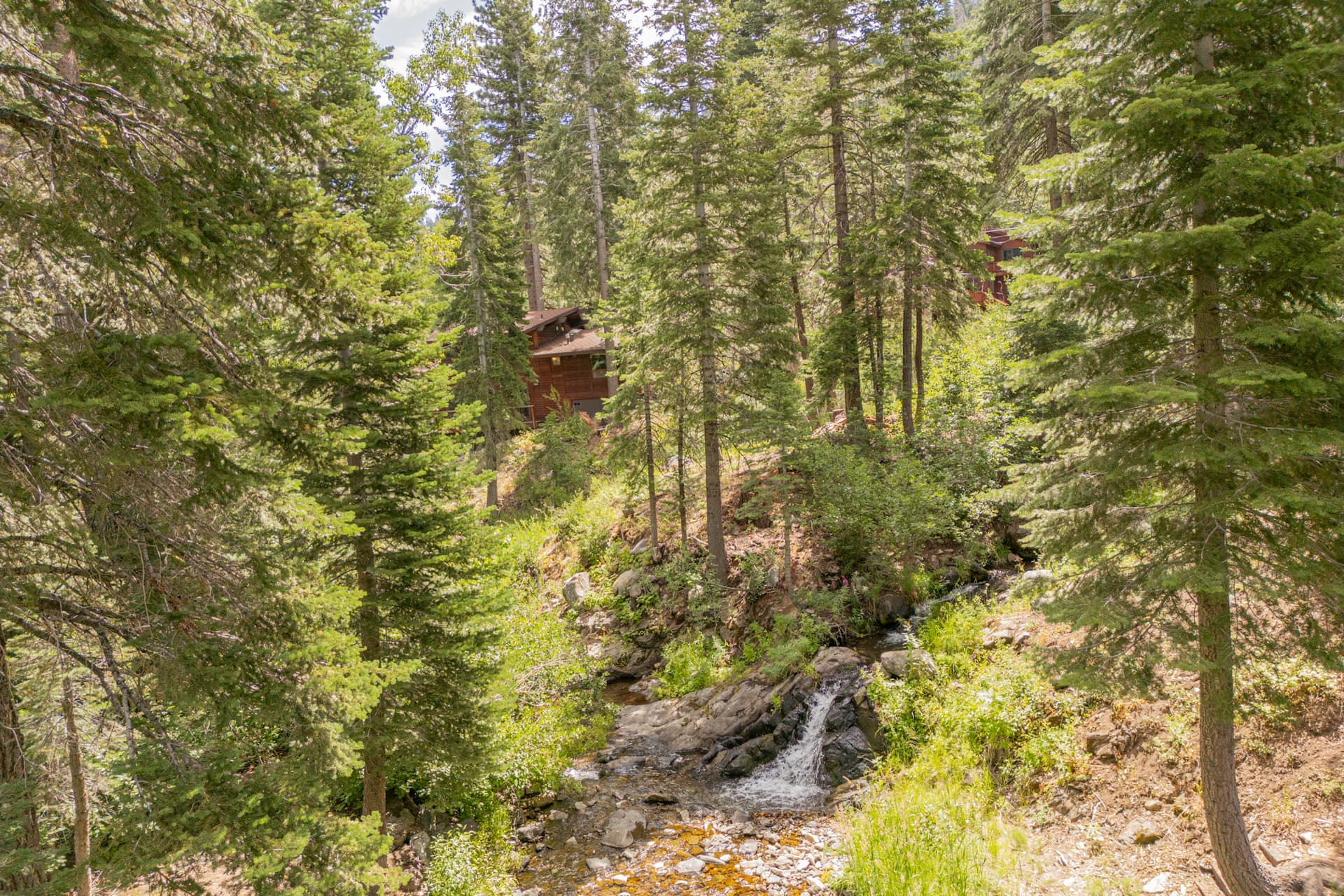 Shining Creek - Image 50