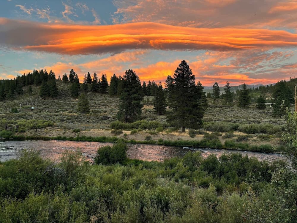 Shoreline Vista - Image 37