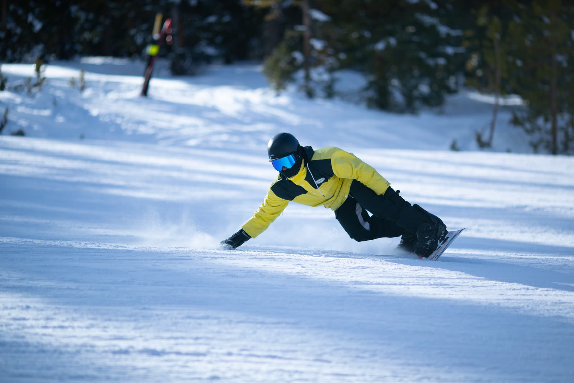 SkyWalk Flats #305E - Image 37