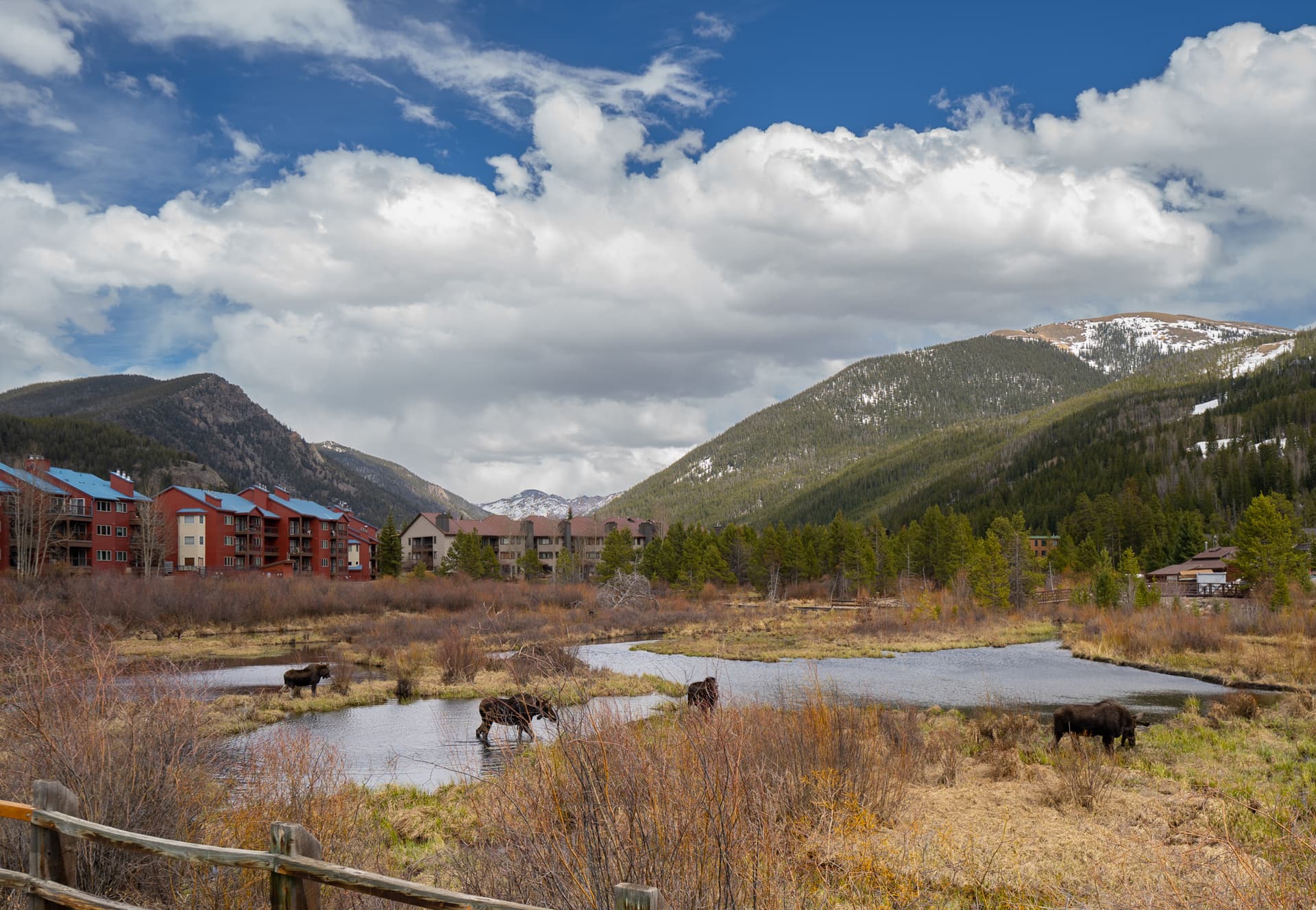 SkyWalk Flats #305E - Image 39