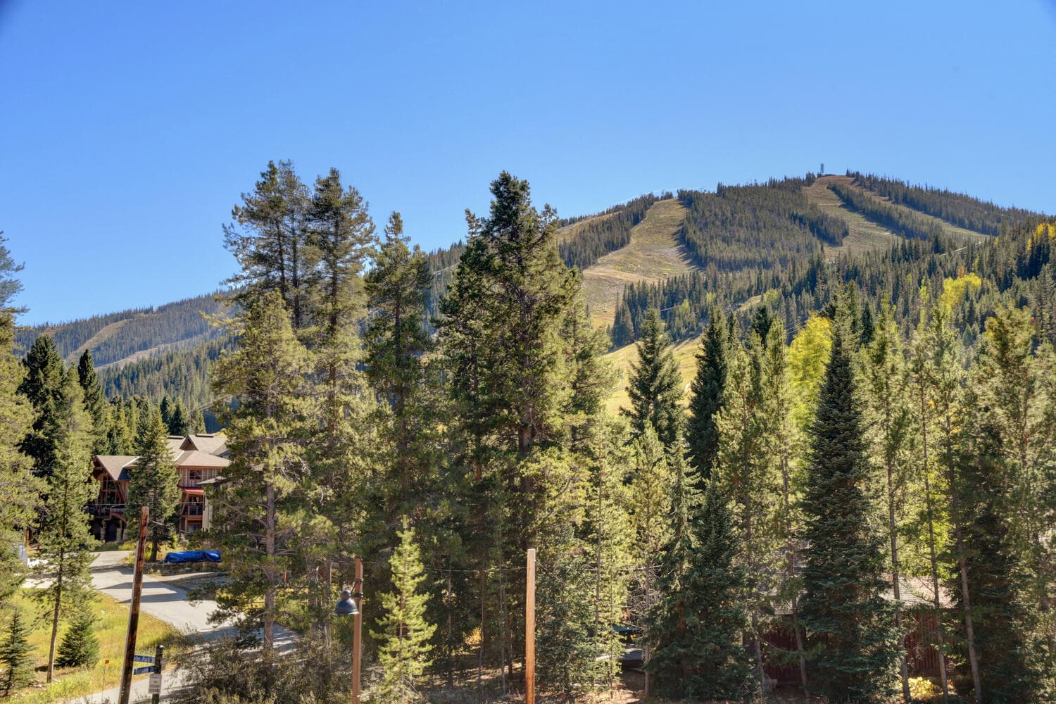 Winterpark Place Condo #15 - Image 3