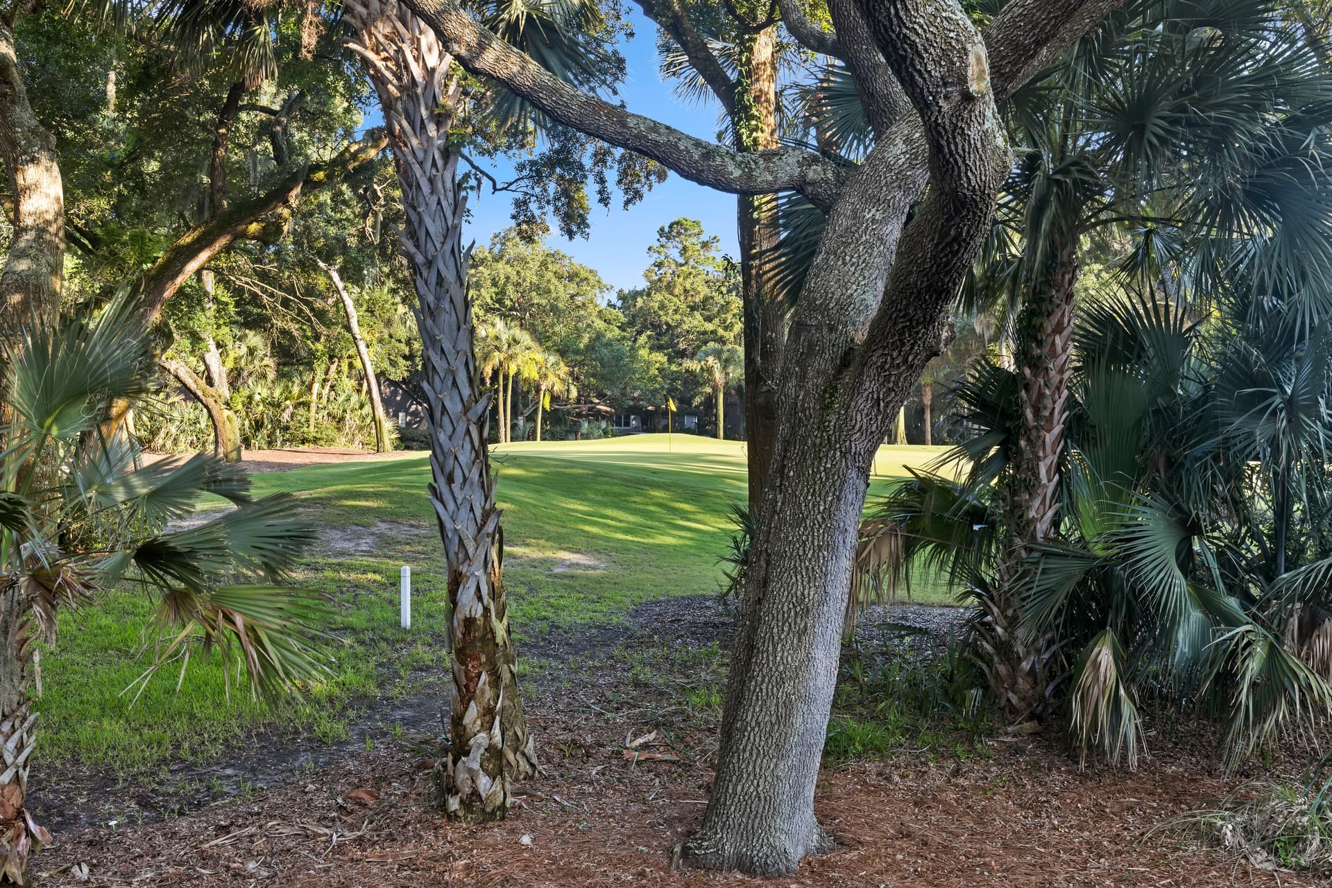 Sea Marsh - Image 44