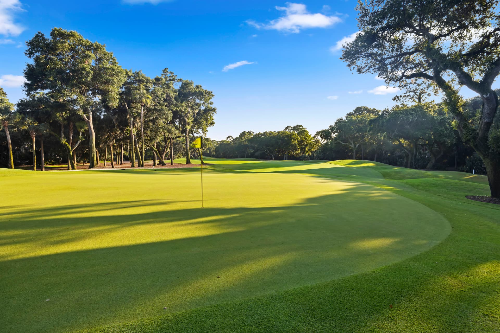 Sea Marsh - Image 45