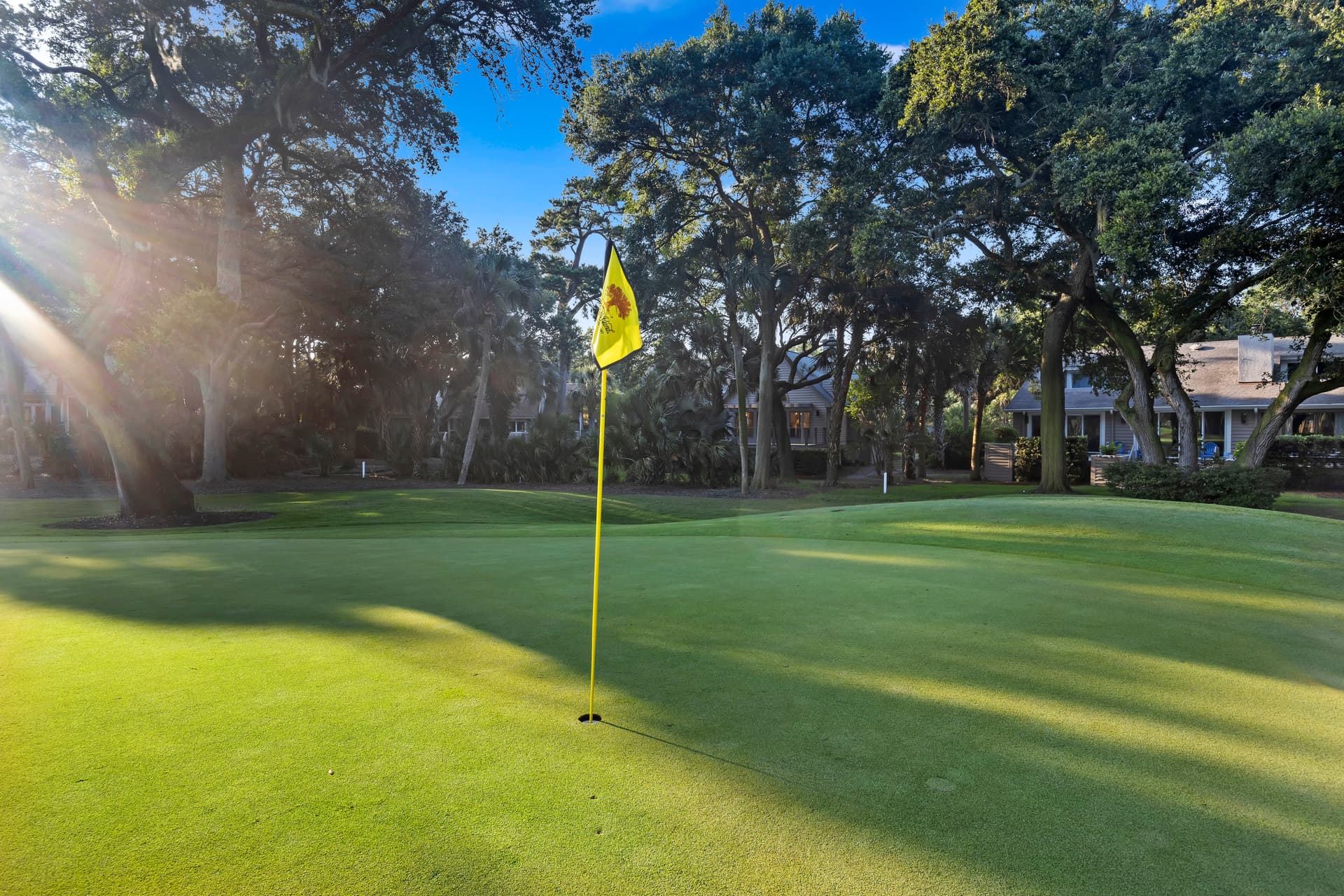 Sea Marsh - Image 46