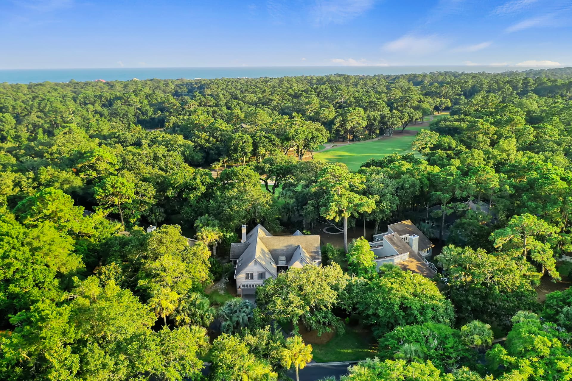 Sea Marsh - Image 42