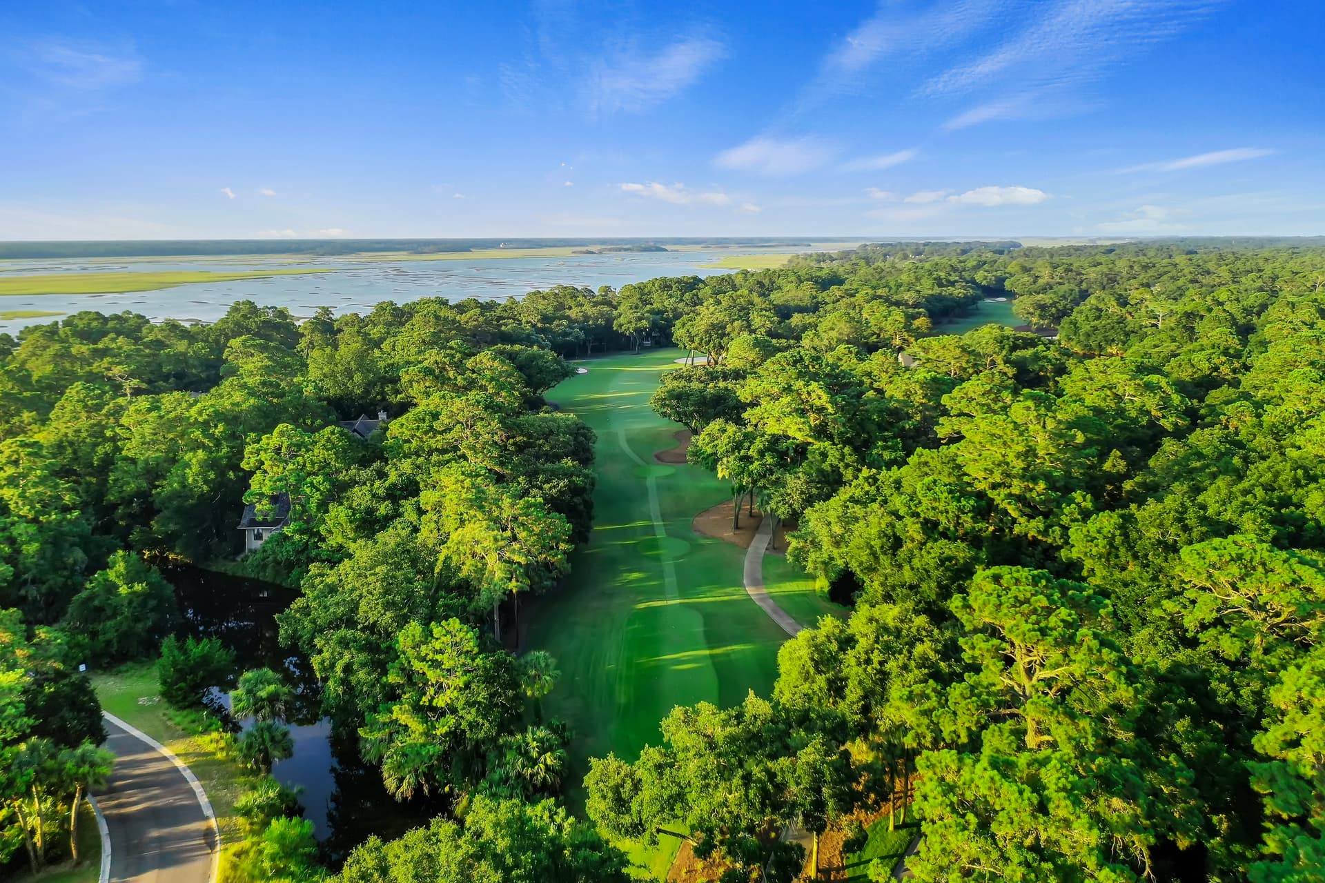 Sea Marsh - Image 47