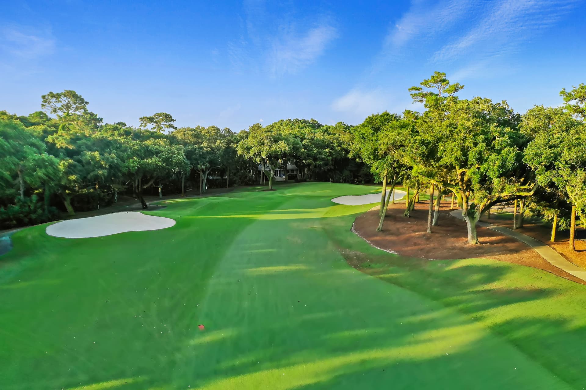 Sea Marsh - Image 48