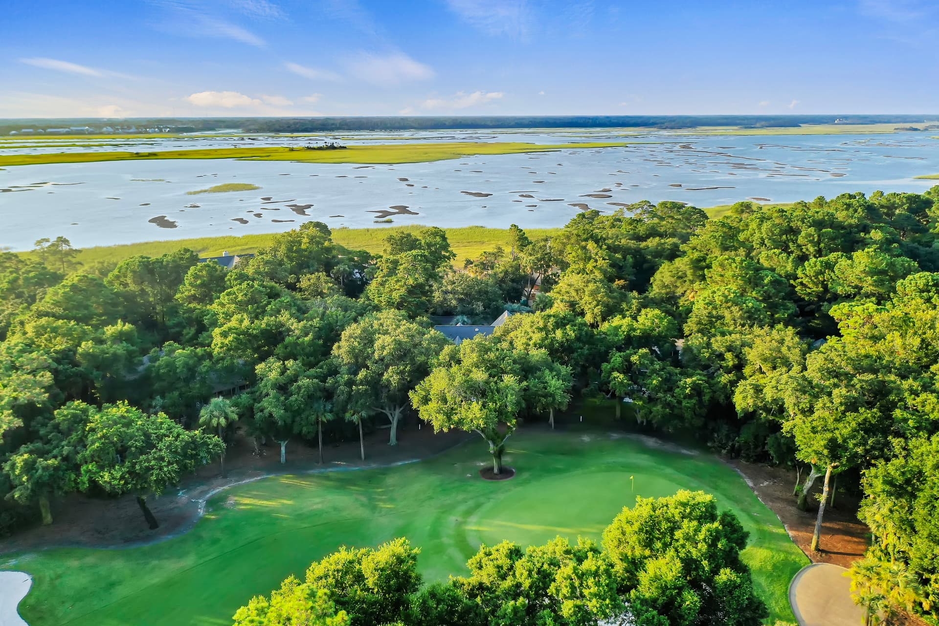 Sea Marsh - Image 50