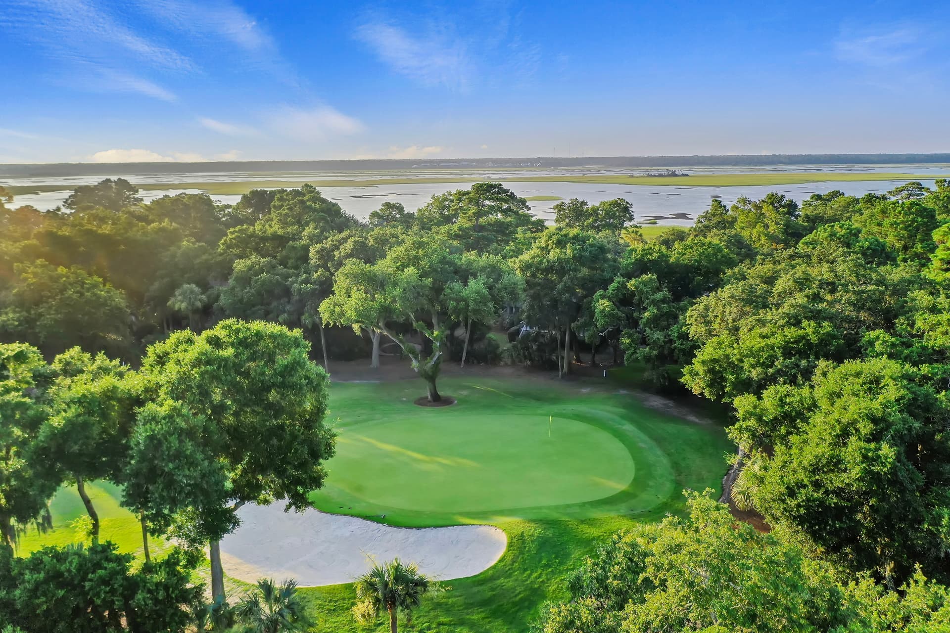 Sea Marsh - Image 51