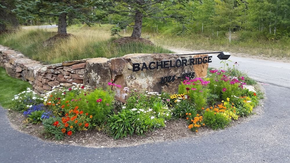 Snowberry - Image 51