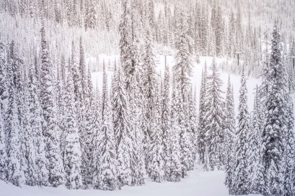 Gladespan Chalet - Image 37