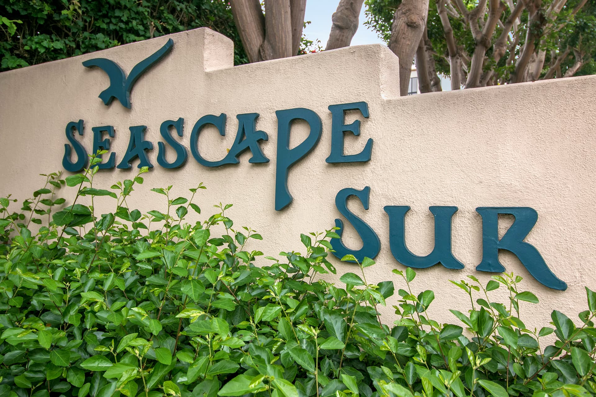 Solana Escape - Image 30