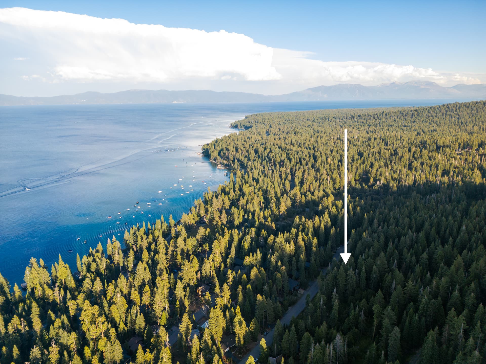 Songbird Cabin - Image 33