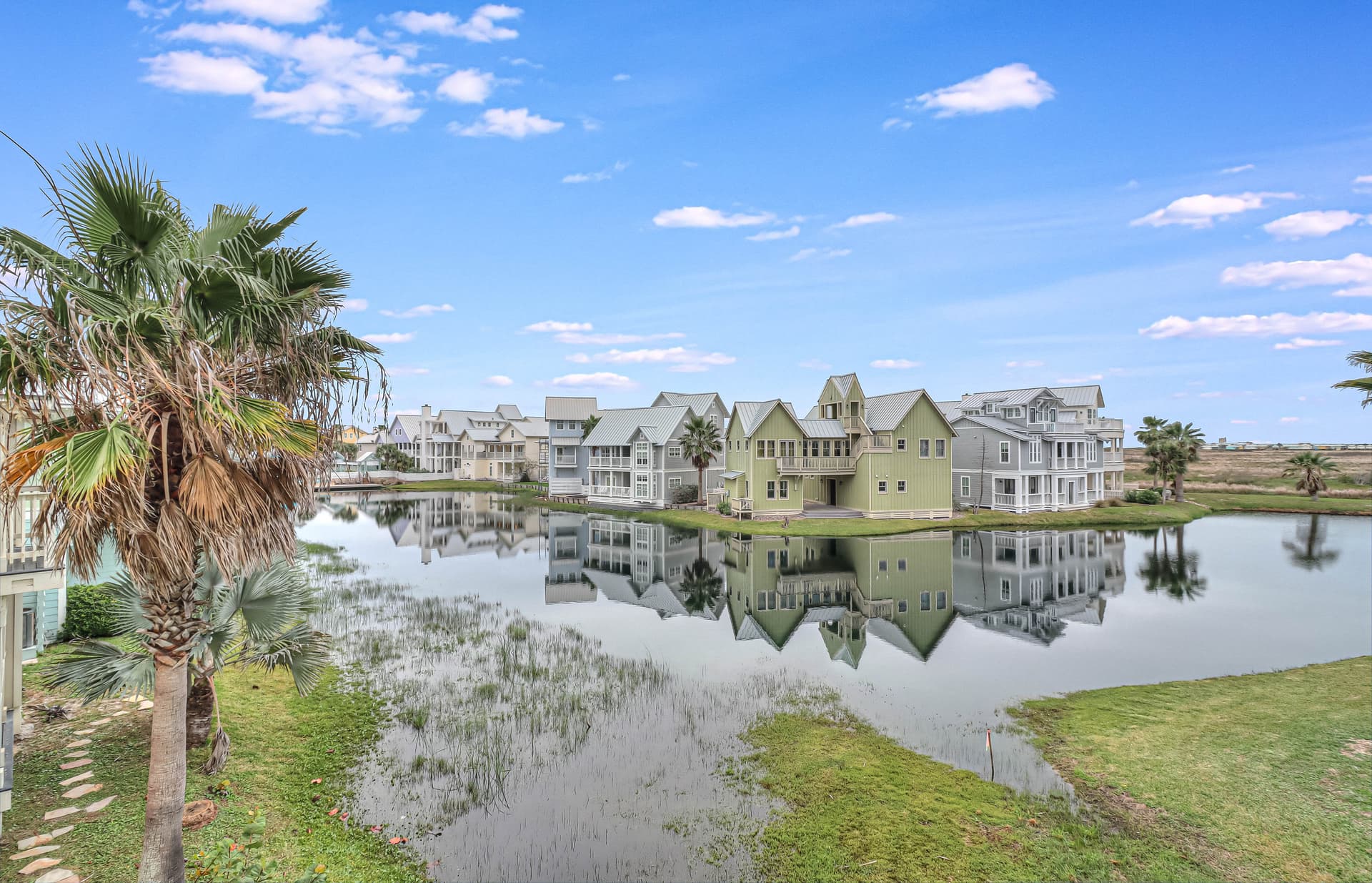 Southern Belle - Image 59