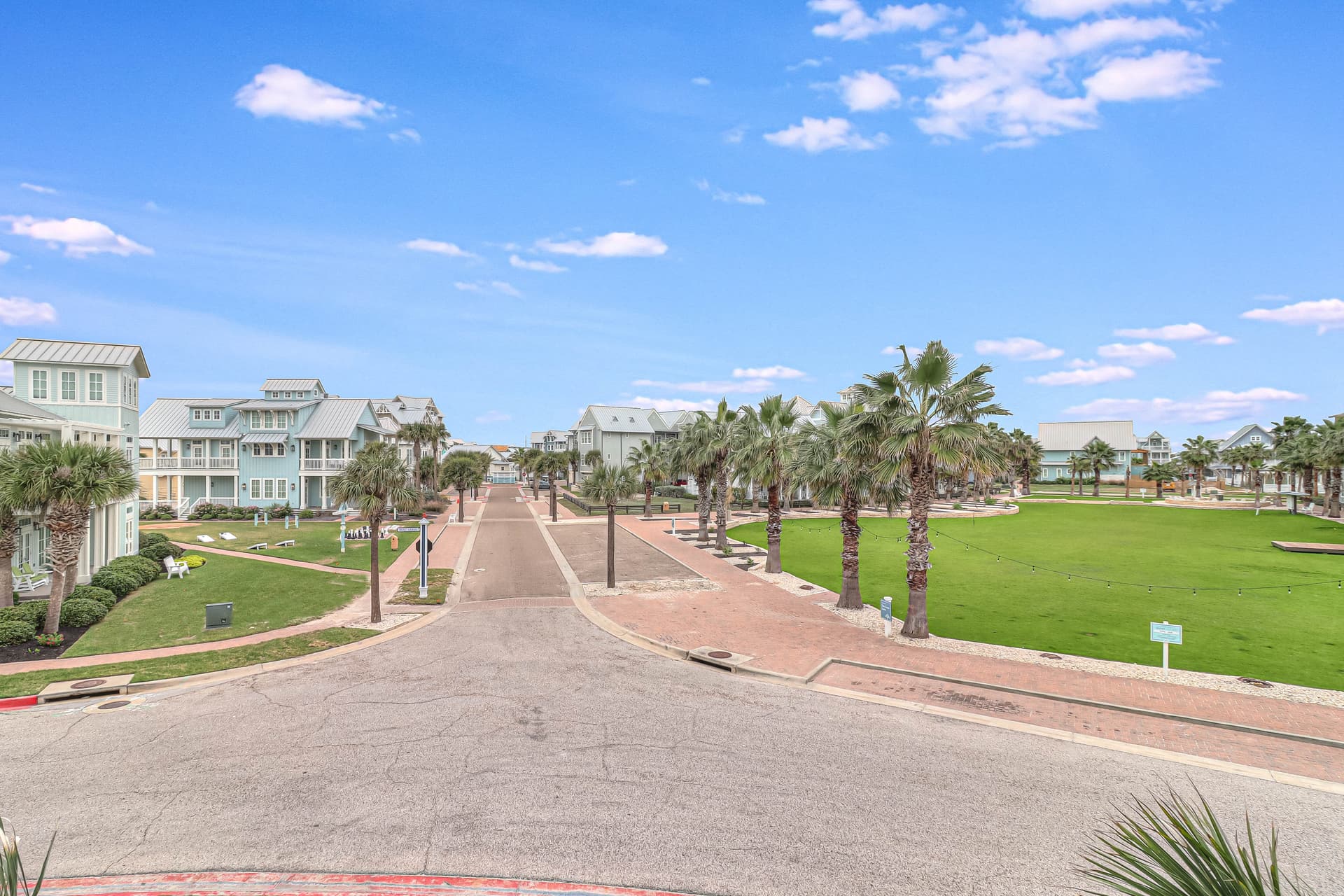 Southern Belle - Image 57