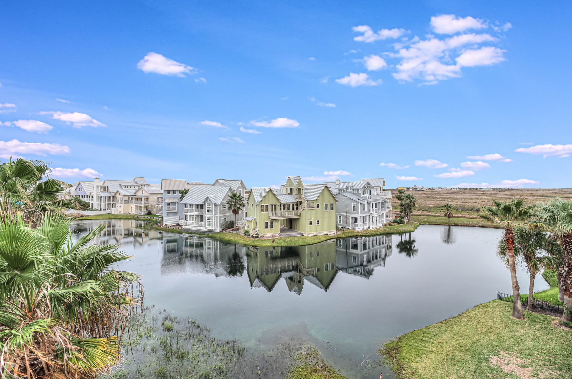 Southern Belle - Image 58