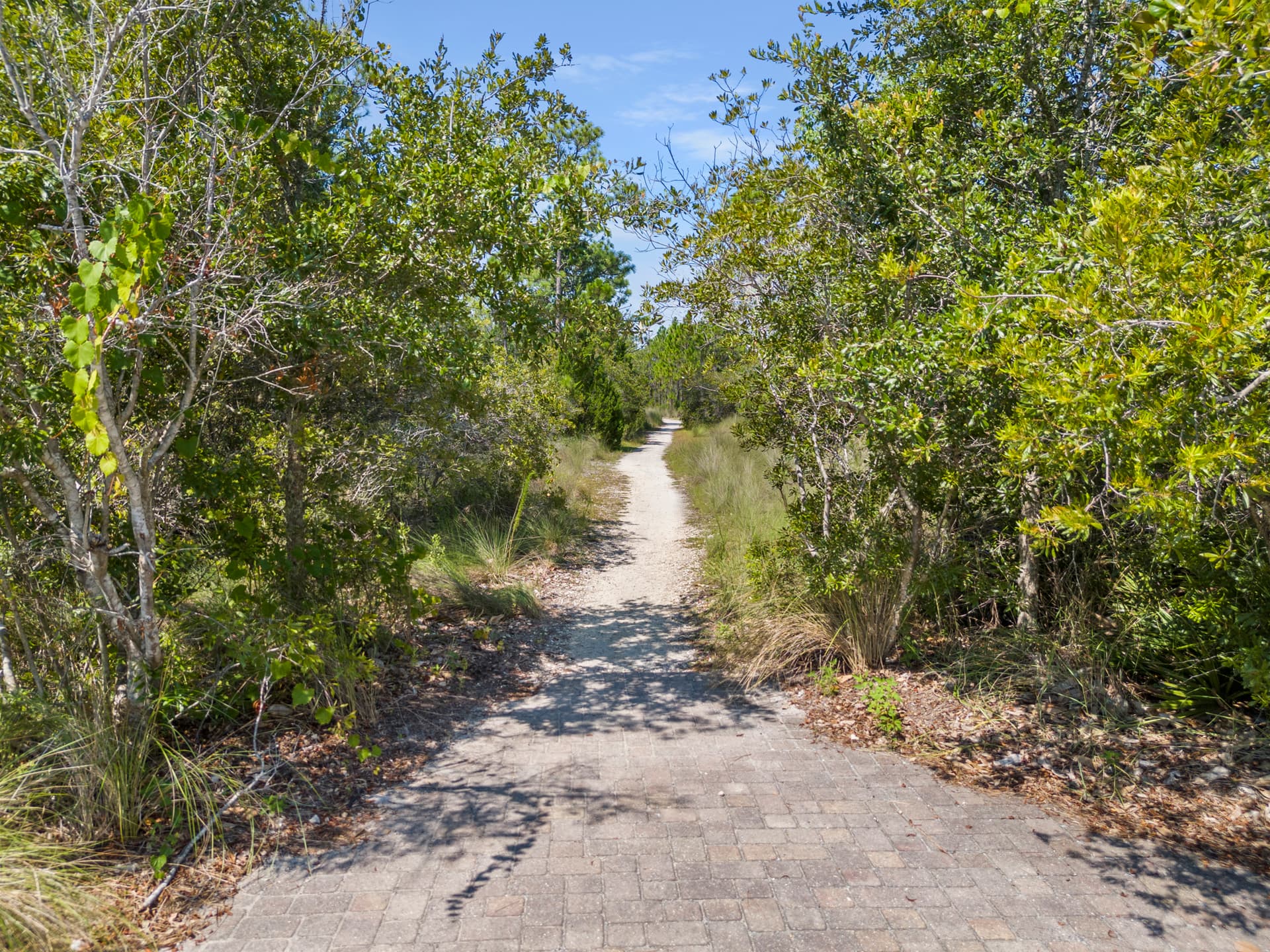 Southern Grace - Image 48