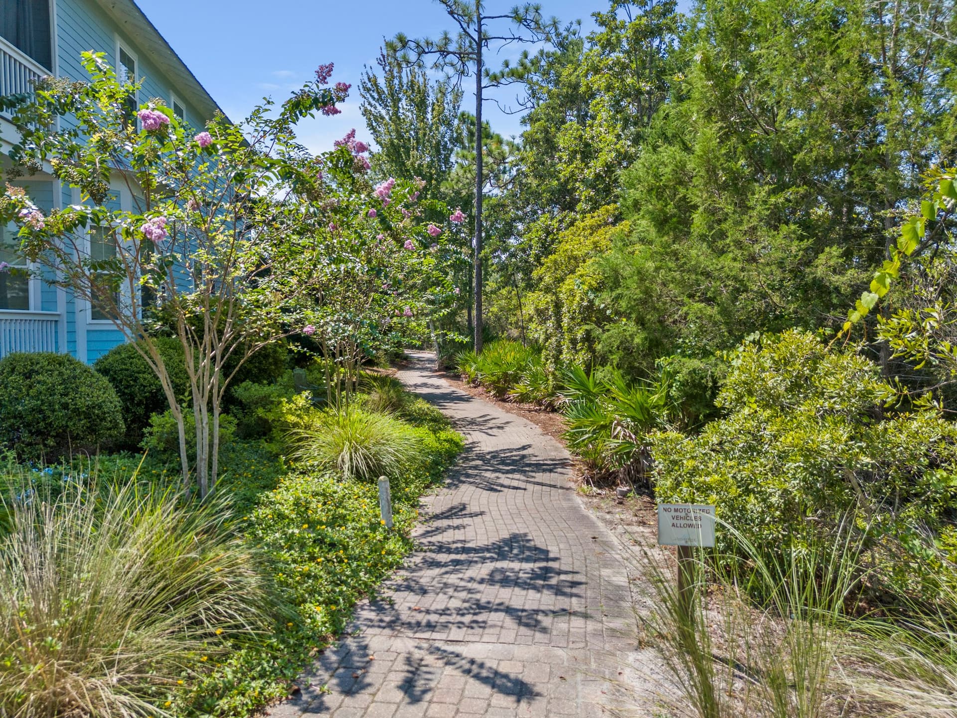 Southern Grace - Image 50