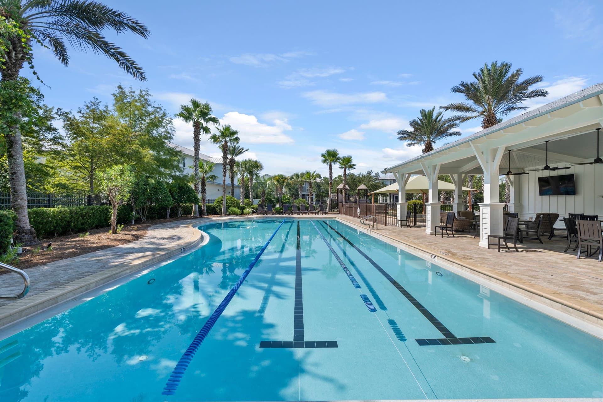 Southern Grace - Image 54