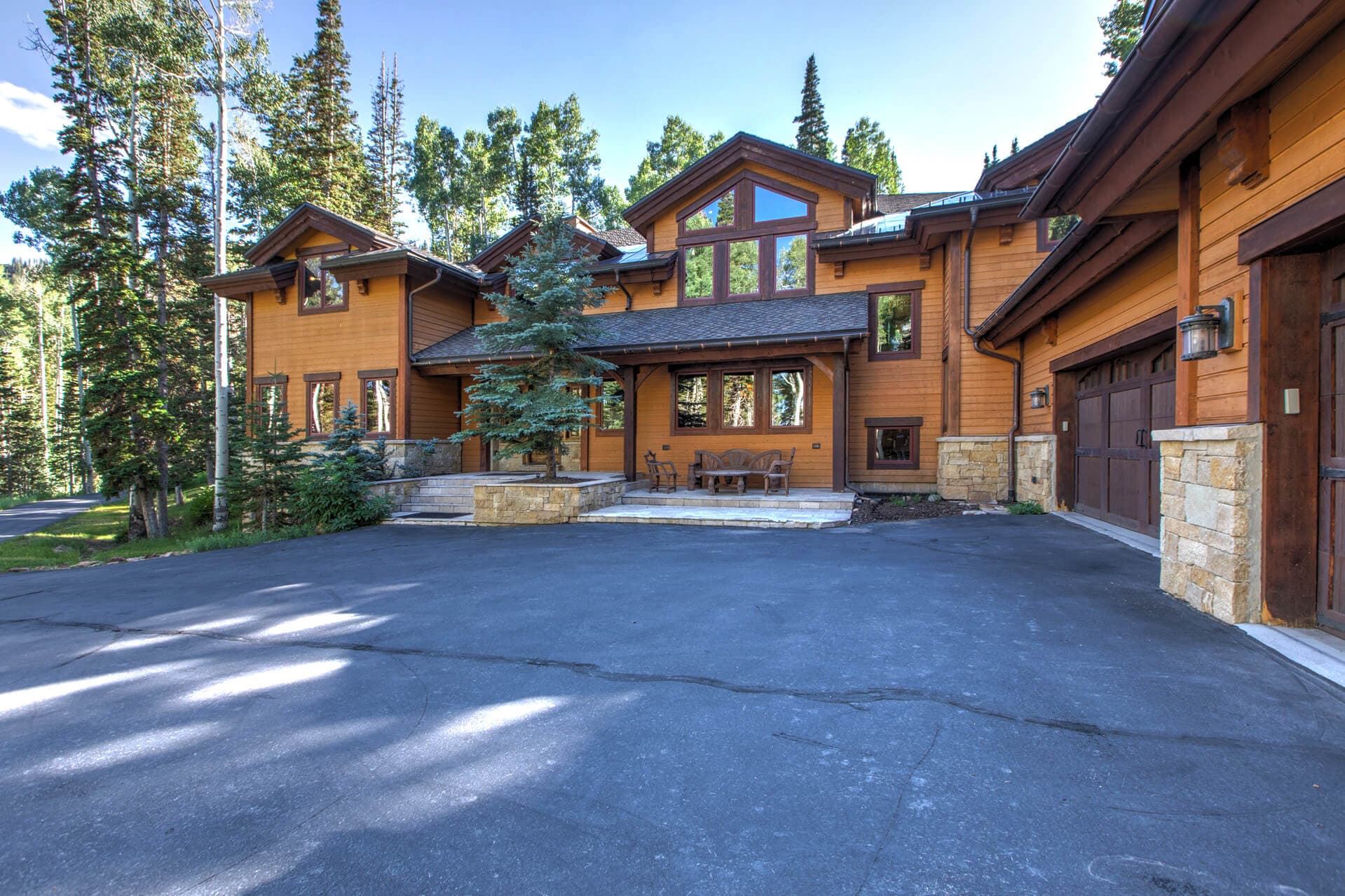 White Pine #129 - Image 79