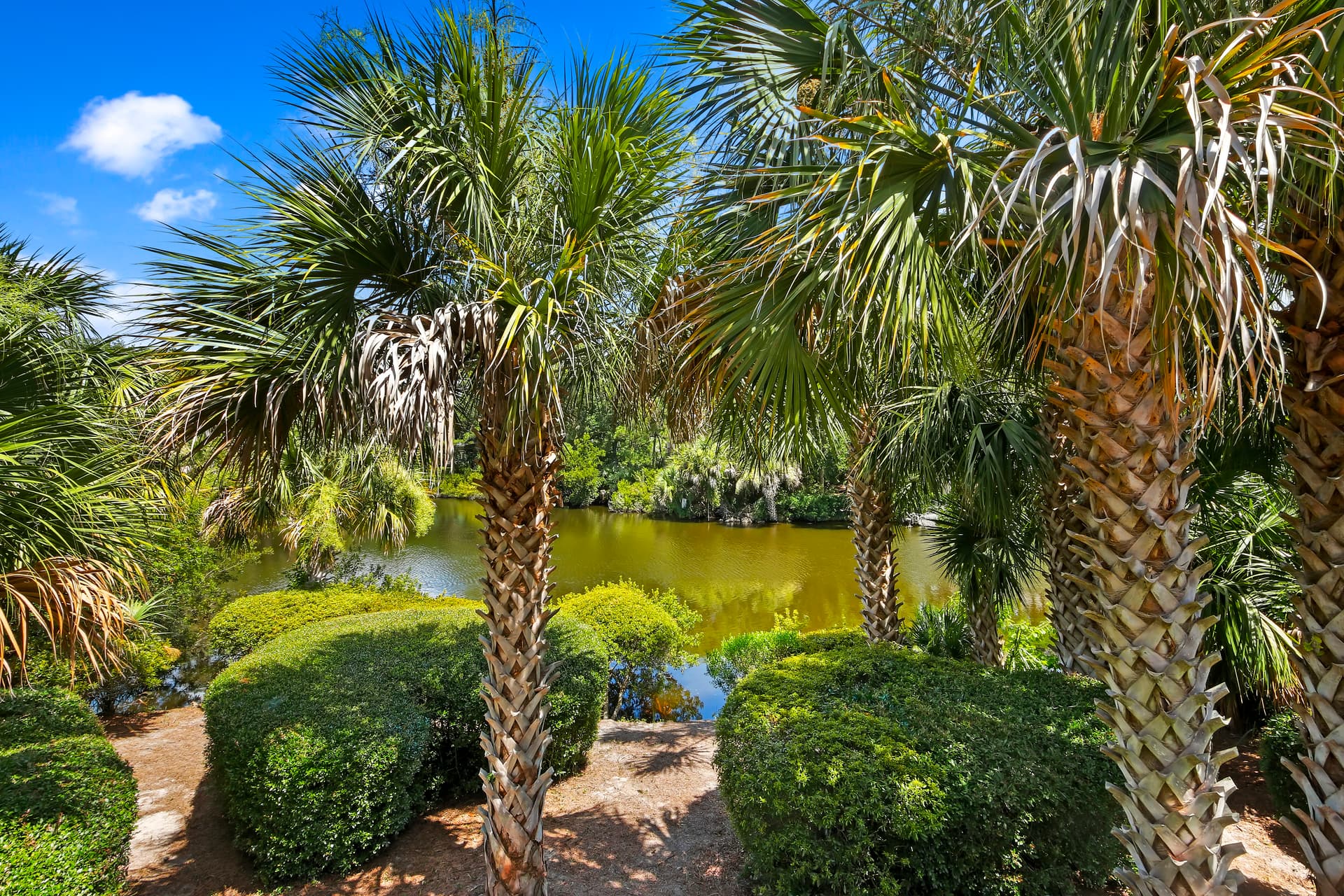 Surfsong Home - Image 36