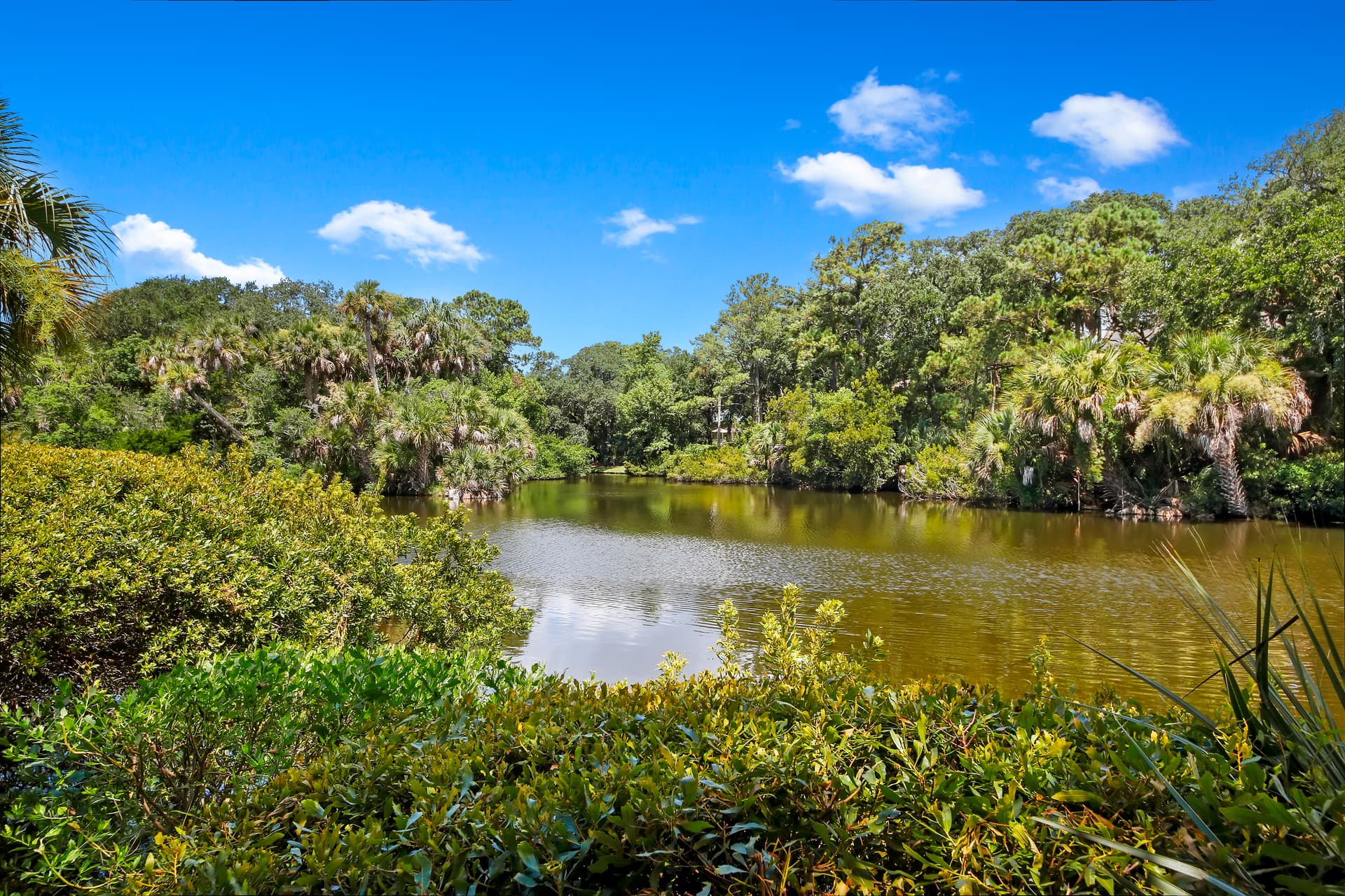 Surfsong Home - Image 37