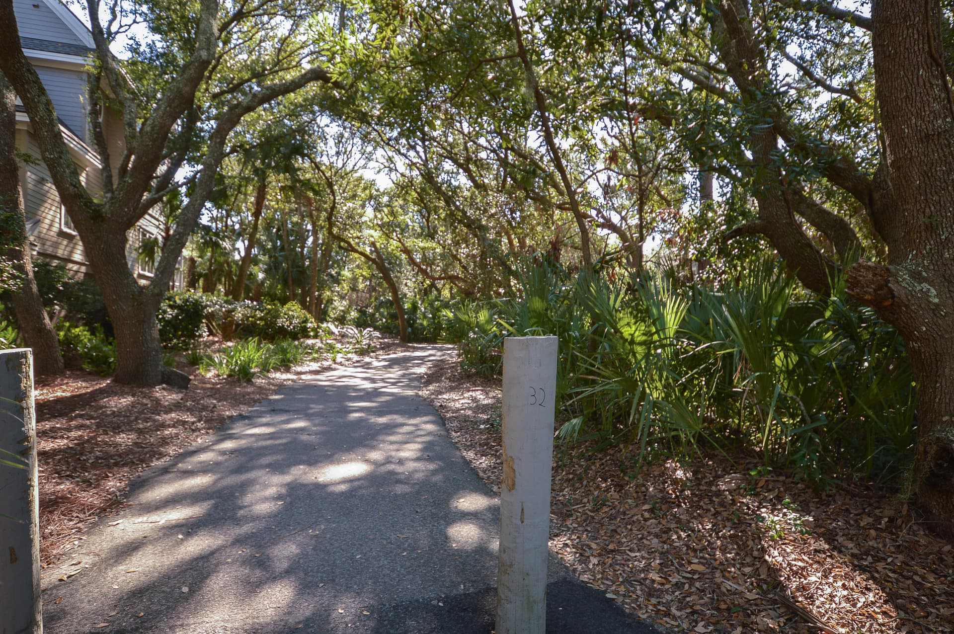 Surfsong Home - Image 39