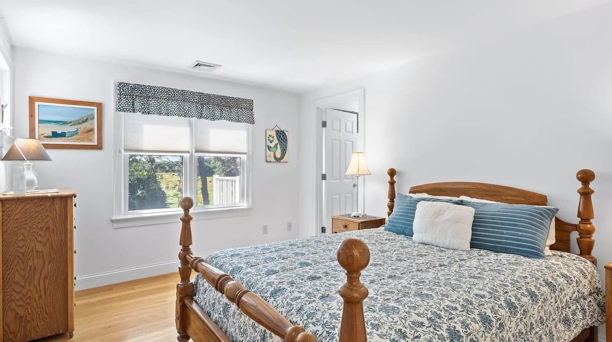 Chatham Bog - Image 21