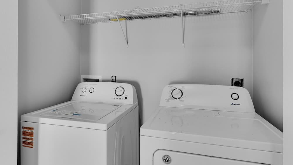 Baum's Away - Image 33