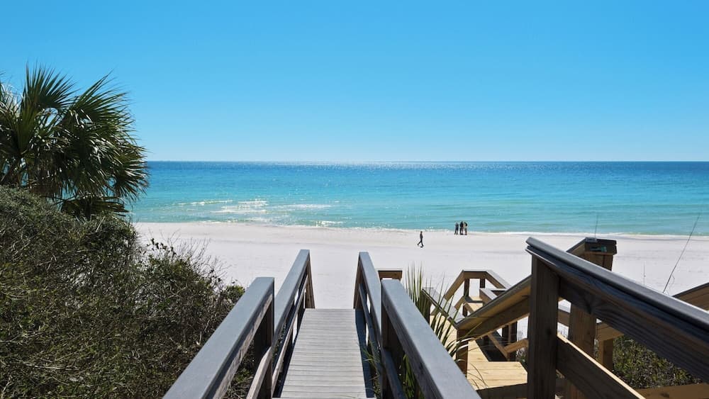 Baum's Away - Image 2