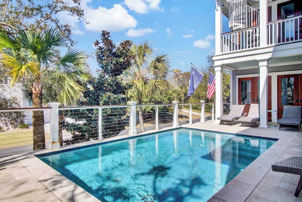 Palm #3301 - Image 2